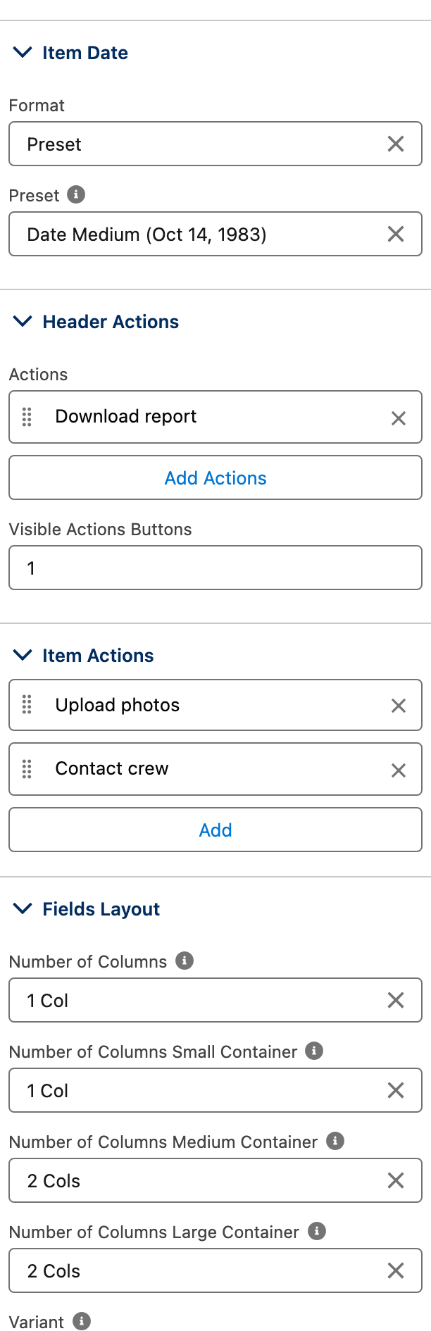 Item Date Format on Preset Date Medium, and Field Attributes with Variant Label Inline and Number of Columns Large Container 2 Cols