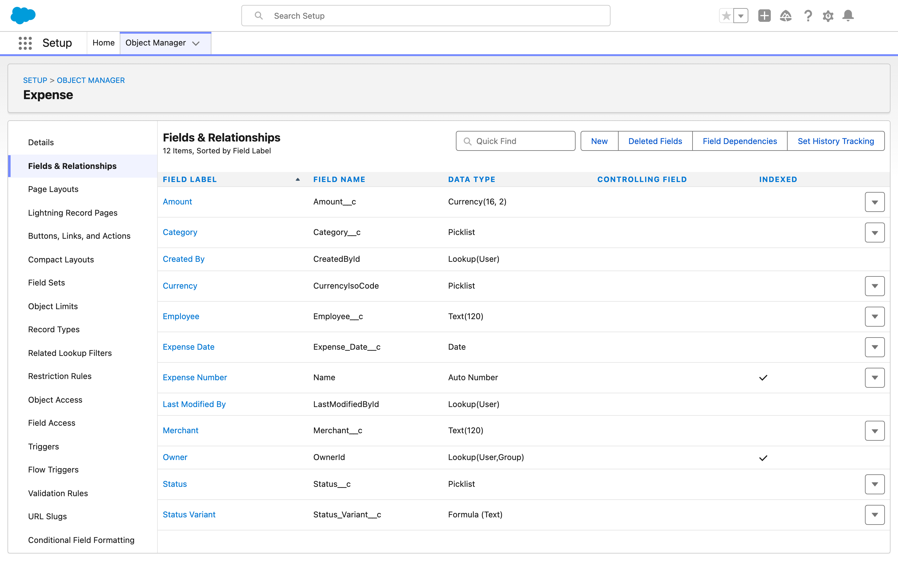 Setup, Object Manager, the Expense object on Fields and Relationships, with Amount, Category, Employee, Expense Date, Merchant, Status and the Status Variant formula